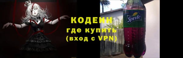прущий лед Богданович