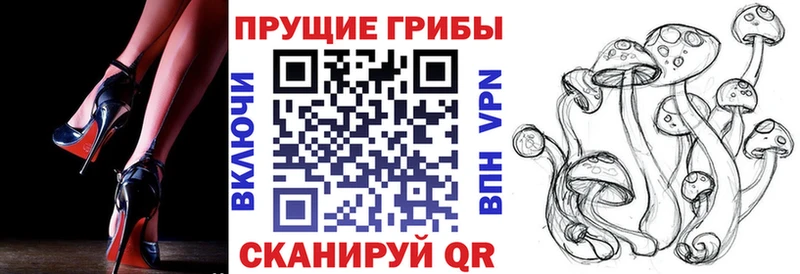 Галлюциногенные грибы прущие грибы Гремячинск